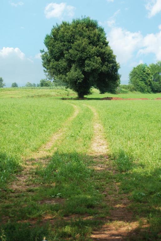 Agriturismo Parco Del Chiese Bedizzole Εξωτερικό φωτογραφία