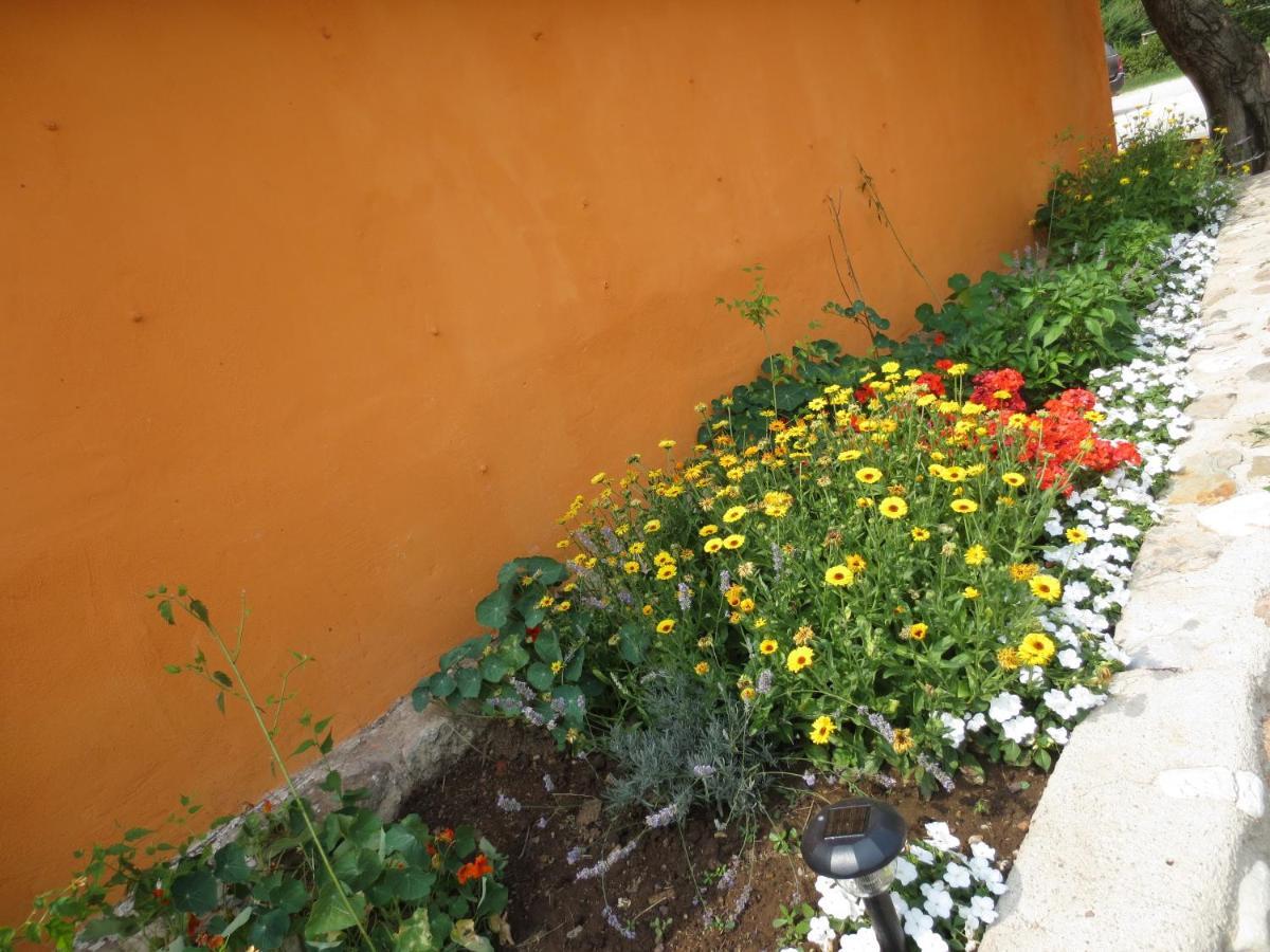 Agriturismo Parco Del Chiese Bedizzole Εξωτερικό φωτογραφία